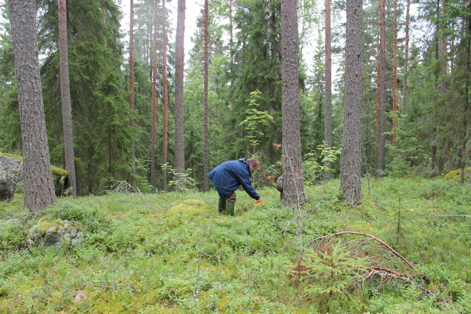 Accommodation And Fishing Vonkale Aanekoski Bagian luar foto