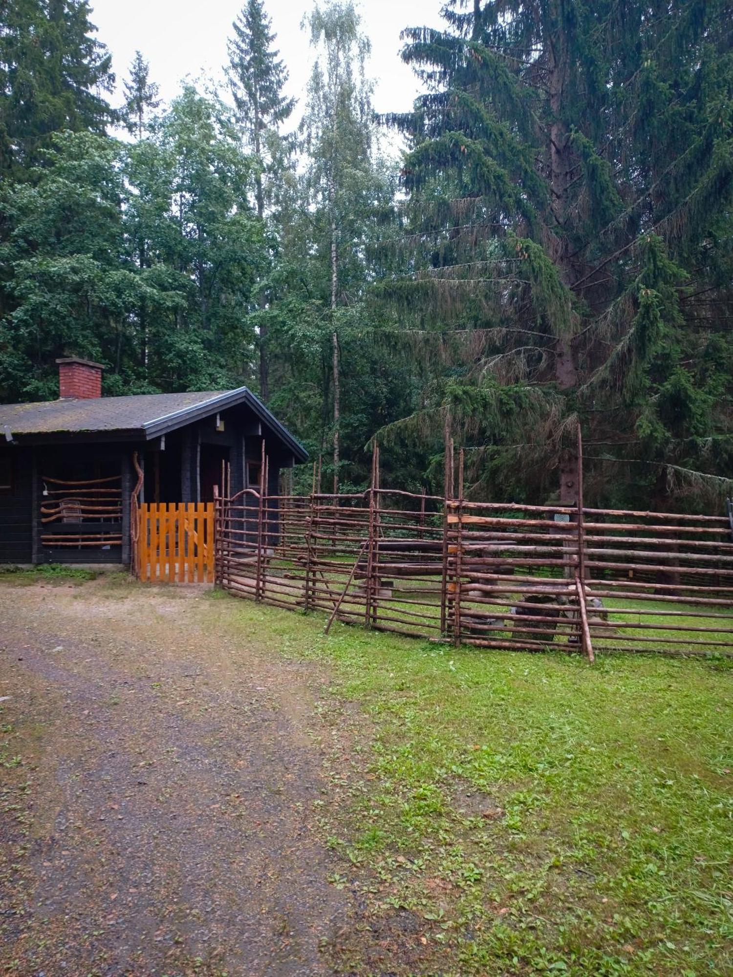 Accommodation And Fishing Vonkale Aanekoski Bagian luar foto