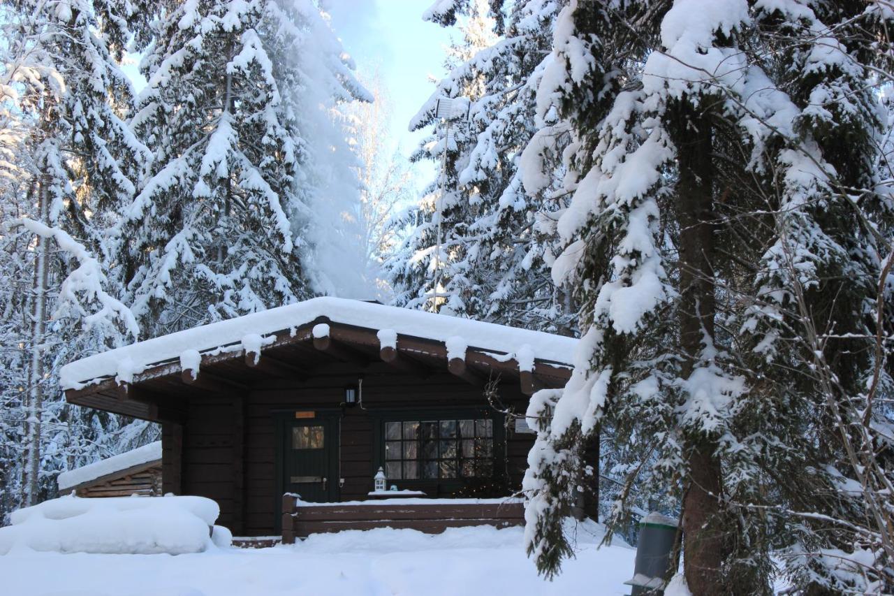 Accommodation And Fishing Vonkale Aanekoski Bagian luar foto